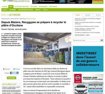 touleco-article recygypse